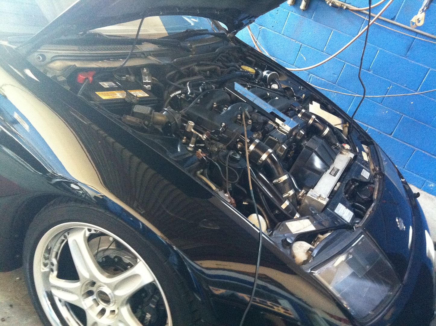 AASA 51dEXXkiFqL._UF350,350_QL50_.jpg